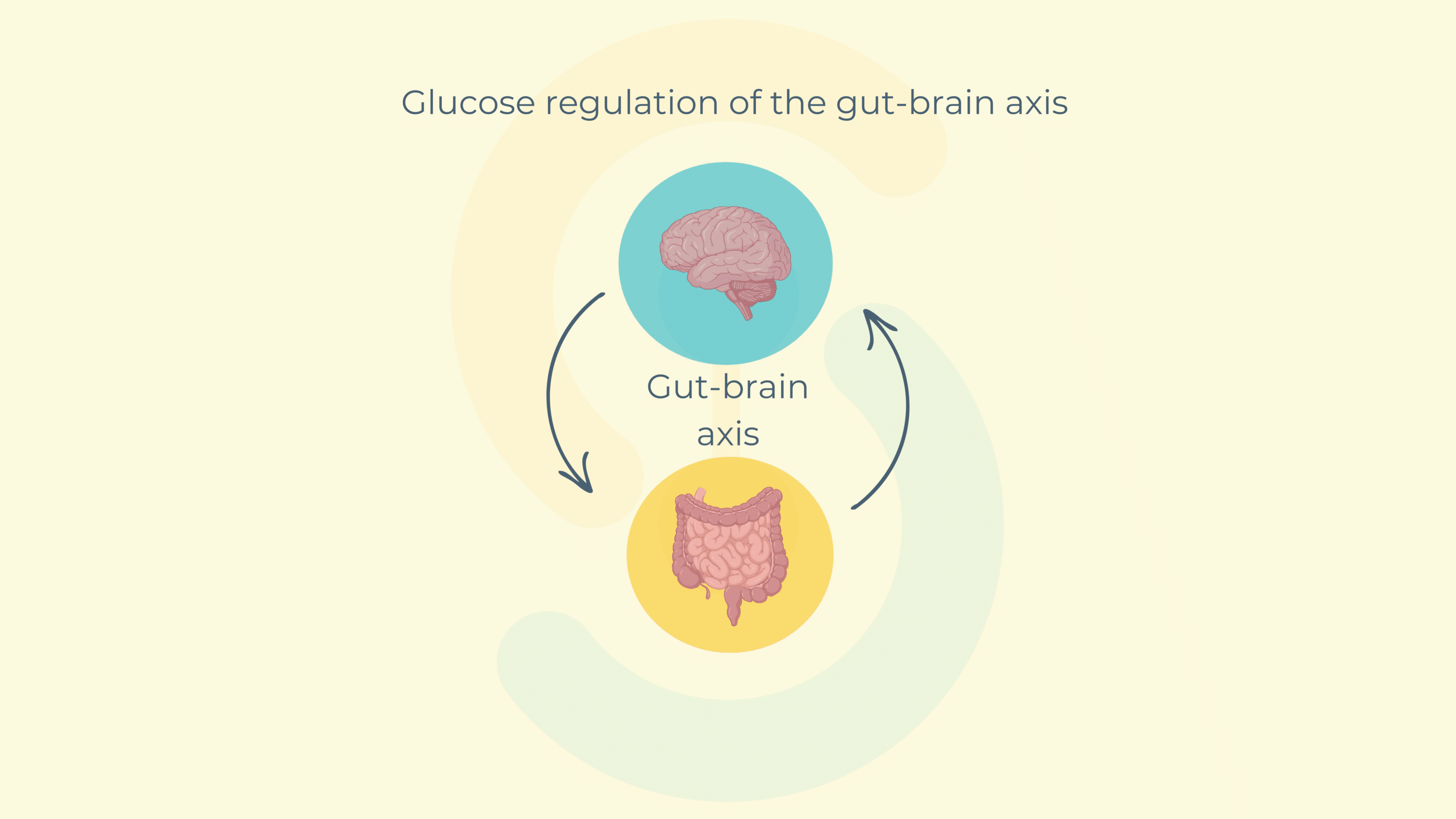 glucose-metabolism