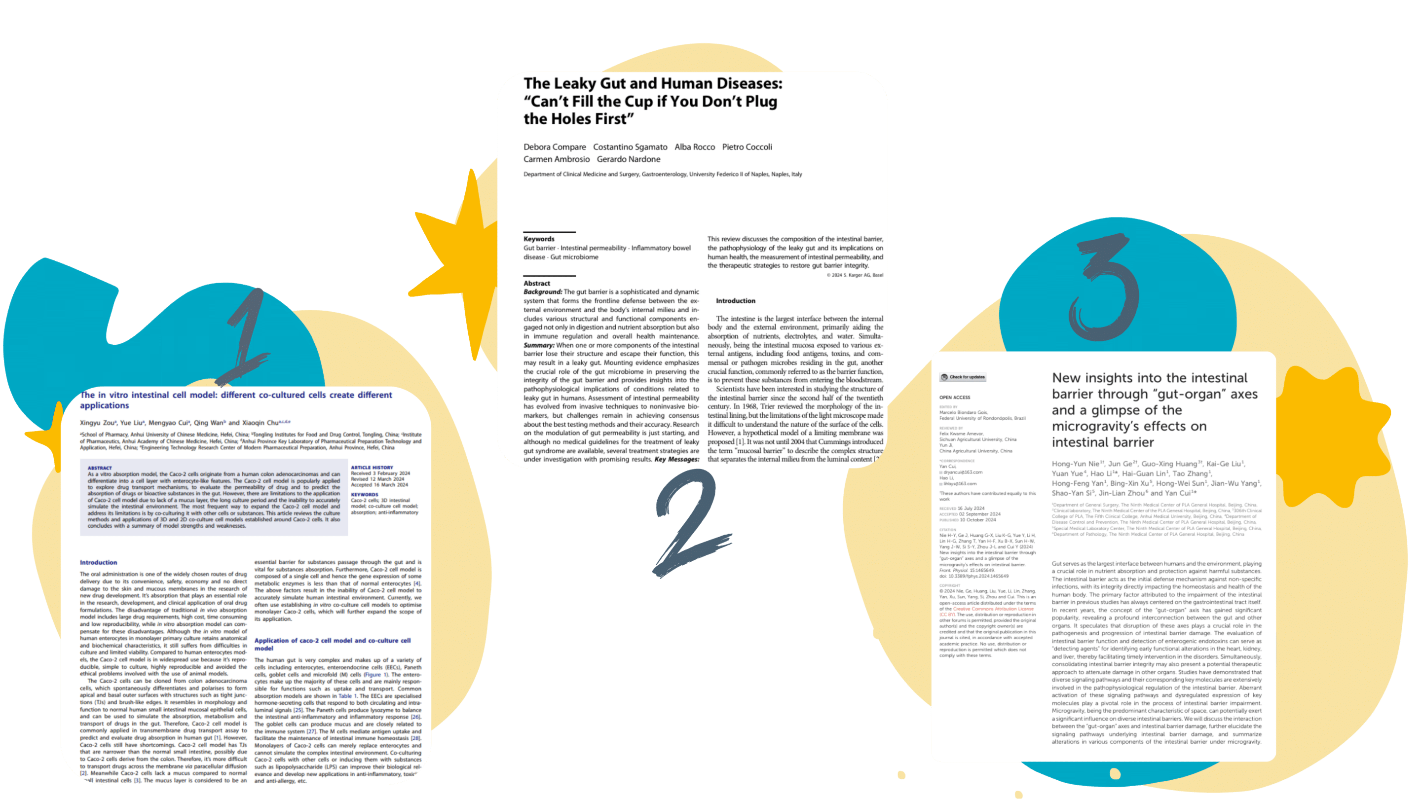 intestinal-barrier-leaky-gut