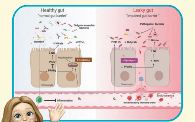 Intestinal barrier : key to digestion and nutrient absorption 