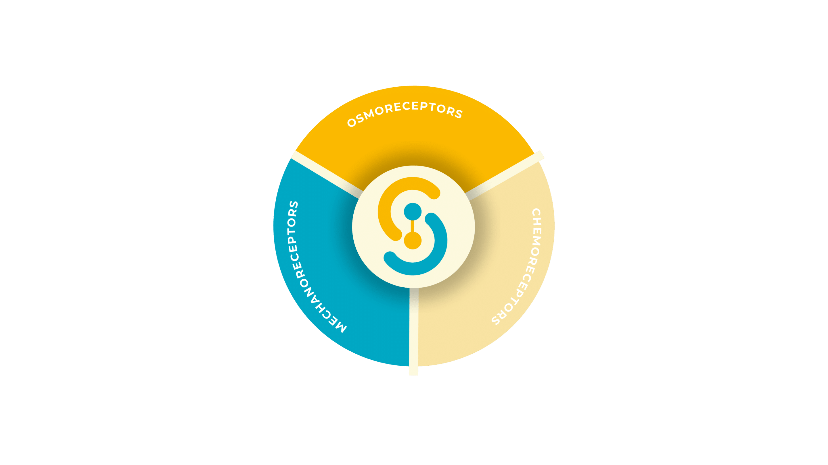 gut-receptors