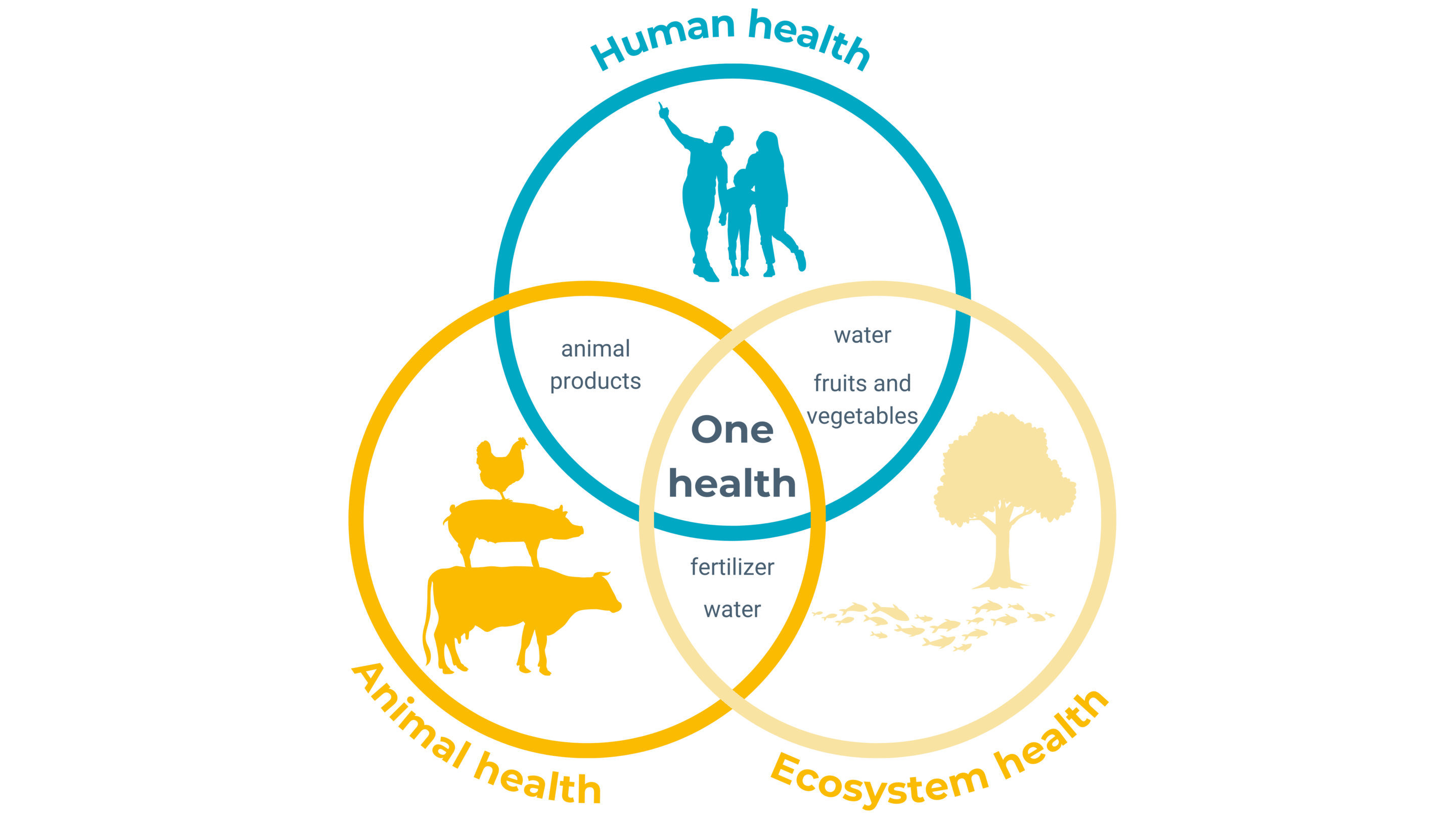 food-feed-testing-one-health