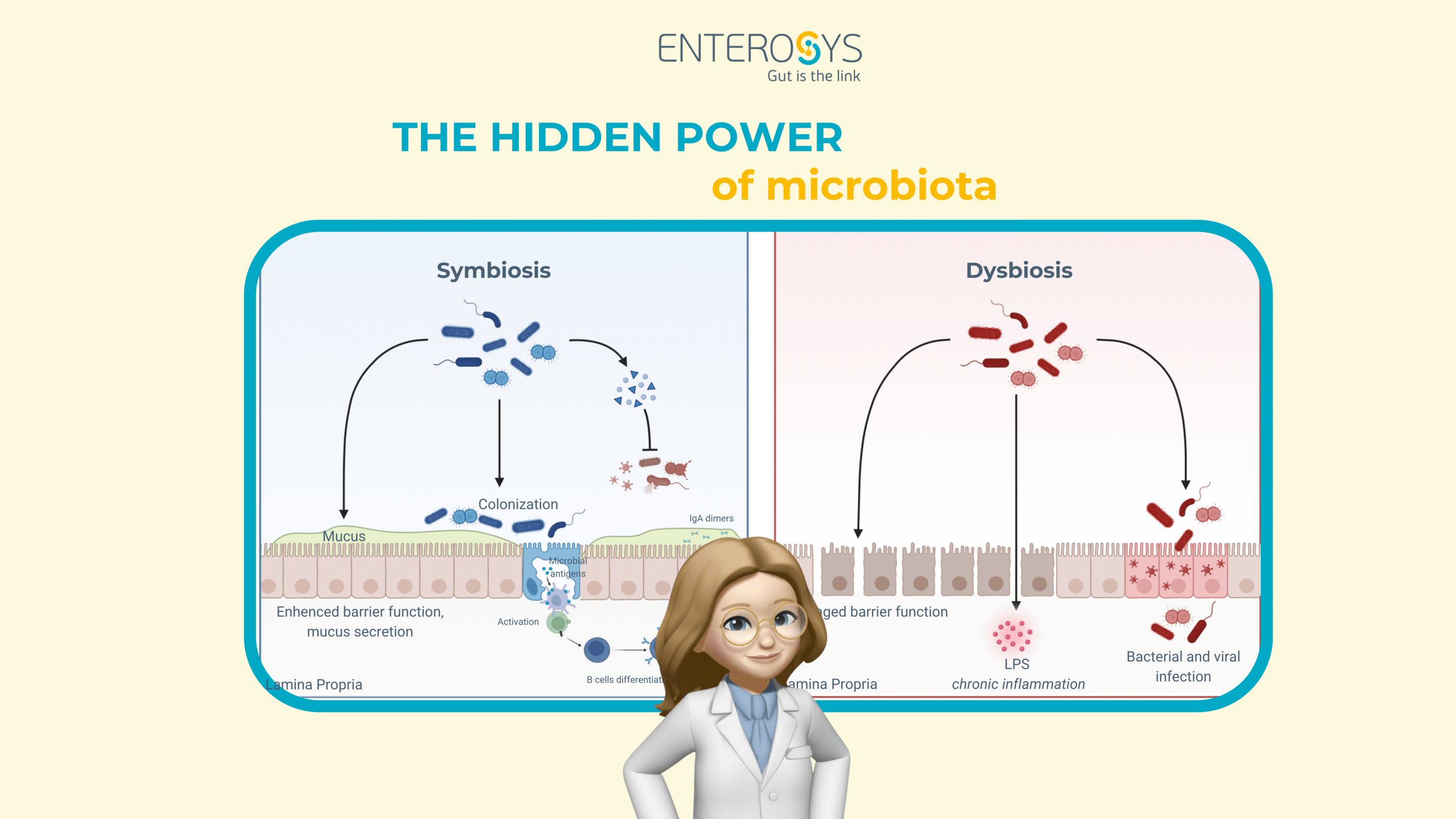 gut-microbiota