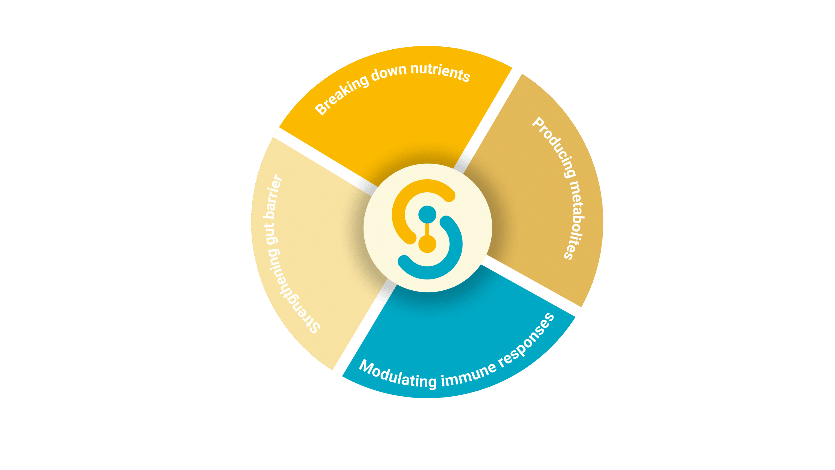 microbiota-functions